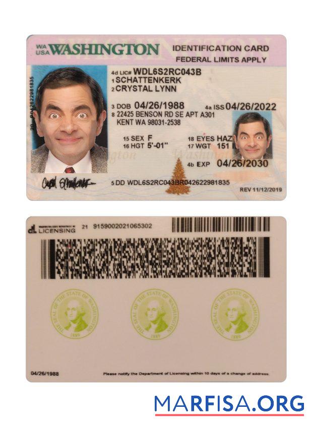 Blank USA Washington ID Card 2022 Present download for verification